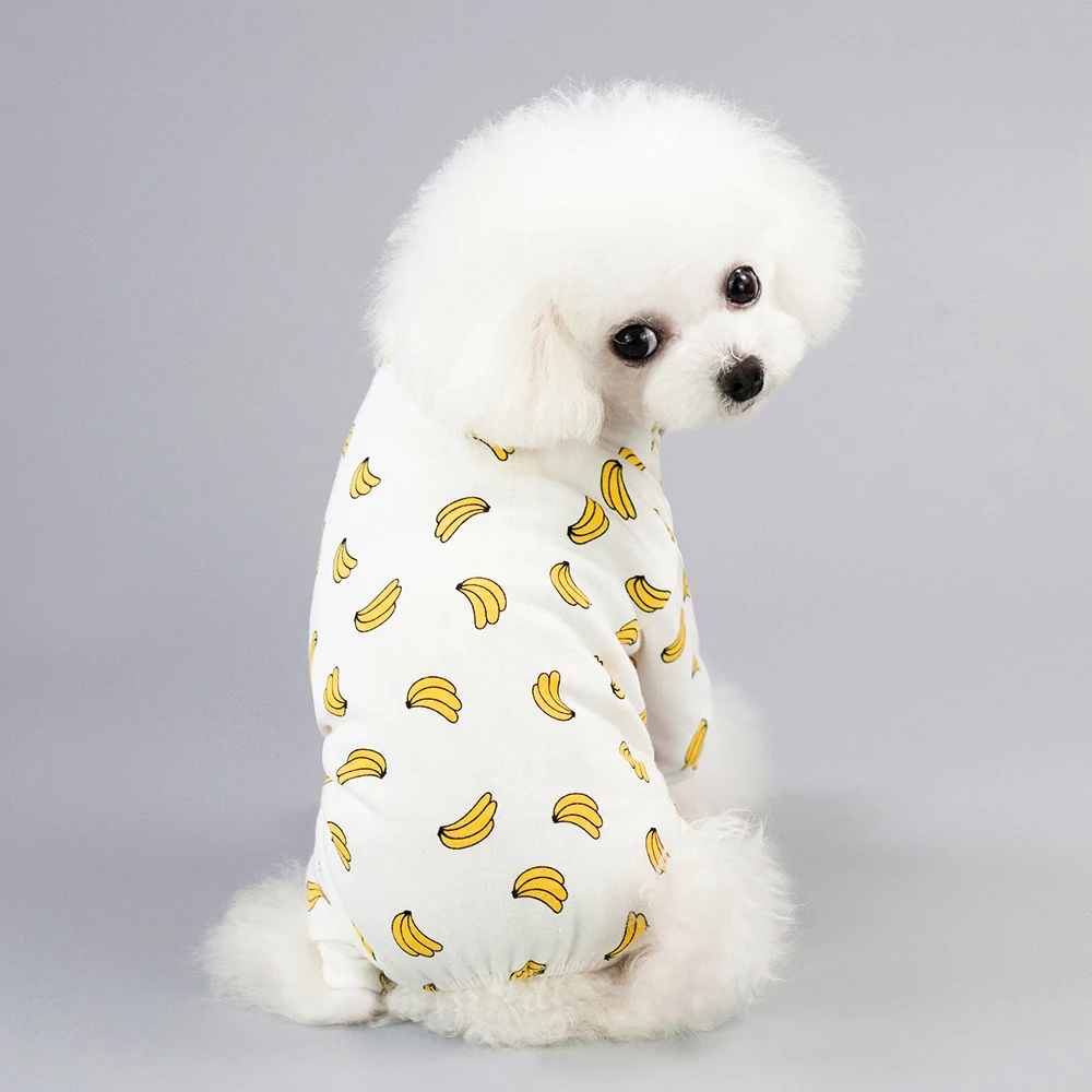 DogMEGA Autumn Clothes with Cute Patterns for Dogs DogMEGA Autumn Clothes with Cute Patterns for Dogs