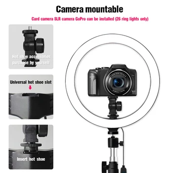 360 degree rotating head selfie stick fill light beauty led ring tripod ring light other mobile phone accessories stand bracket
360 degree rotating head selfie stick fill light beauty led ring tripod ring light other mobile phone accessories stand bracket