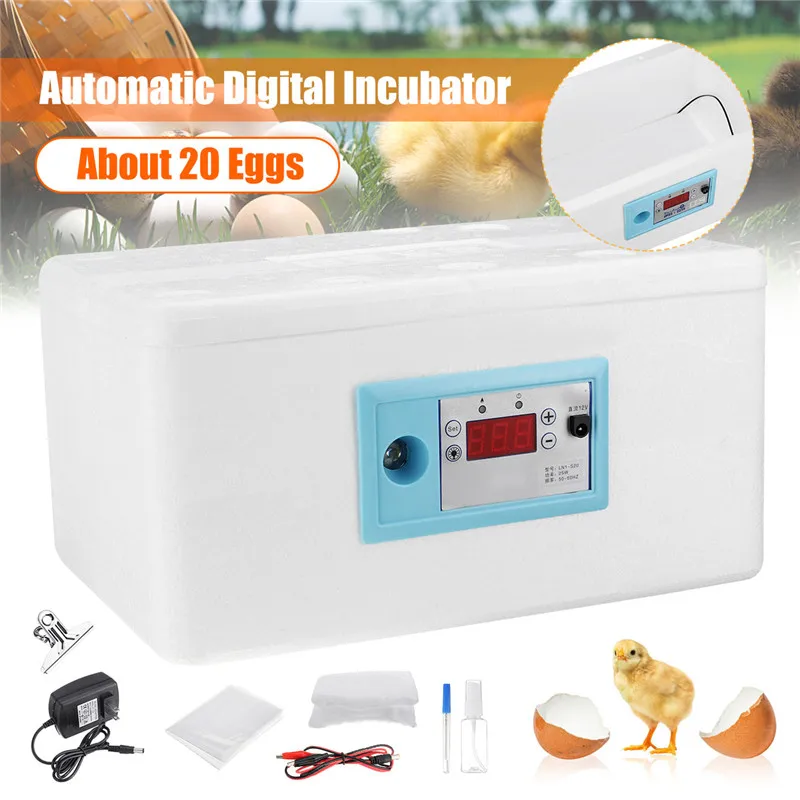 Family Eggs Incubator 20 Position Automatic Digital Chicken Poultry Hatcher Foam Home Waterbed Incubator Farm Incubation Tools
Family Eggs Incubator 20 Position Automatic Digital Chicken Poultry Hatcher Foam Home Waterbed Incubator Farm Incubation Tools