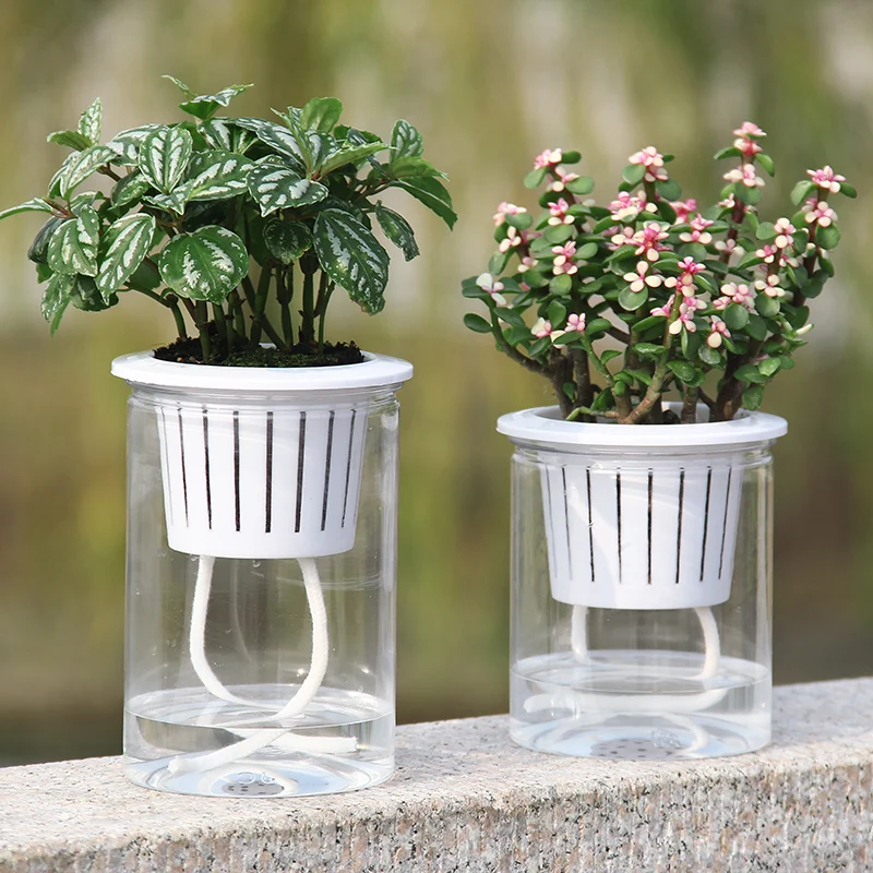 Transparent hydroponic flowerpot Auto Irrigate Flower Pot Vase Automatic Watering Planter Lazy Planting Round 
Transparent hydroponic flowerpot Auto Irrigate Flower Pot Vase Automatic Watering Planter Lazy Planting Round