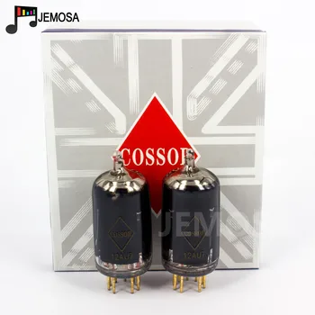 PSVANE COSSOR 12AU7 Vacuum Tube Replace ECC82 ECC802S CV4003 12AU7-Z 12AU7-TII Electron Tube HIFI Audio Pre-amp Guitar Amplifier
PSVANE COSSOR 12AU7 Vacuum Tube Replace ECC82 ECC802S CV4003 12AU7-Z 12AU7-TII Electron Tube HIFI Audio Pre-amp Guitar Amplifier