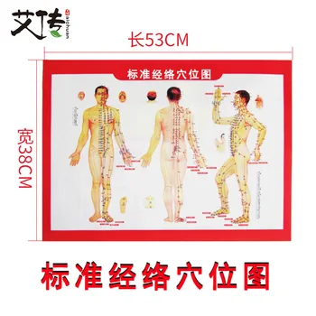 Moxibustion Acupoint Map Large a Human Meridian Figure Hanging Picture of Commonly Used Moxibustion Reference Double-Sided
Moxibustion Acupoint Map Large a Human Meridian Figure Hanging Picture of Commonly Used Moxibustion Reference Double-Sided