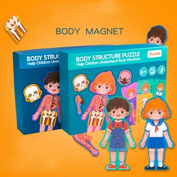 Body Cognition cards Magnet Puzzle Fun Biology Science Educational Early Learning Toys for Children Birthday Gift
Body Cognition cards Magnet Puzzle Fun Biology Science Educational Early Learning Toys for Children Birthday Gift