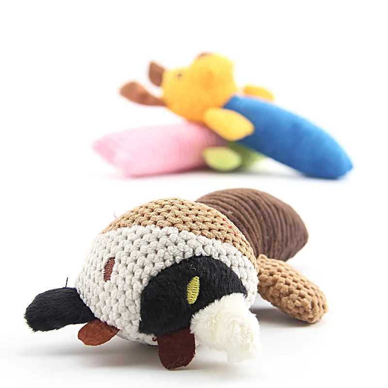 3054596369_820581130