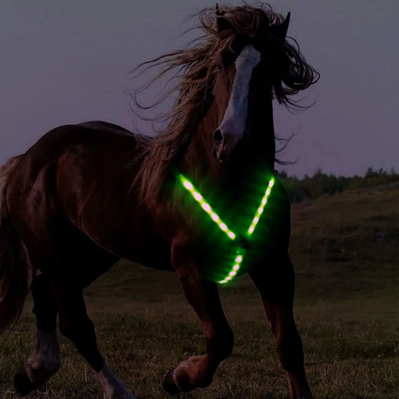 Horse Webbing Harness Collar Breastplate Adjustable Night Visible LED Light Chest Belt Safe Riding Equipment | Спорт и развлечения