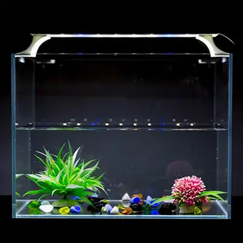 220V 8W 24LED Underwater Lamp Full Spectrum Aquarium Light Bracket Lamp for Fish Tank Lighting
220V 8W 24LED Underwater Lamp Full Spectrum Aquarium Light Bracket Lamp for Fish Tank Lighting