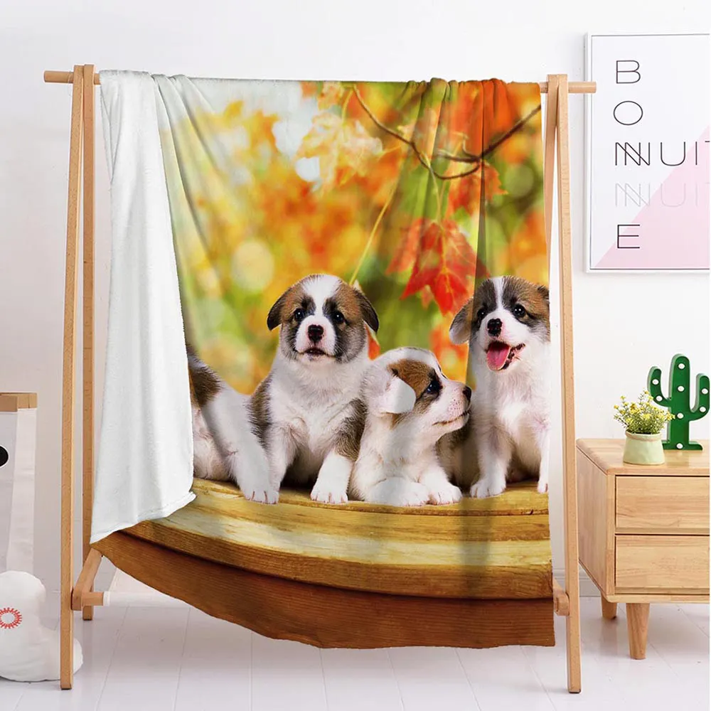 2020 Three puppies animal Custom blankets Large and small size throw blanket tapestry sleeping blanket flannel blanket bedding
2020 Three puppies animal Custom blankets Large and small size throw blanket tapestry sleeping blanket flannel blanket bedding
