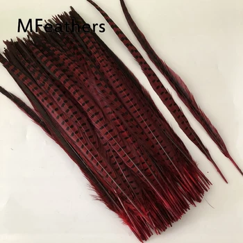 Free Shipping 100PC Natural Red Dyed High Quality Ringneck Pheasant Tail Feathers 50-55cm 20-22 inches Long Hlalloween Decorates
Free Shipping 100PC Natural Red Dyed High Quality Ringneck Pheasant Tail Feathers 50-55cm 20-22 inches Long Hlalloween Decorates