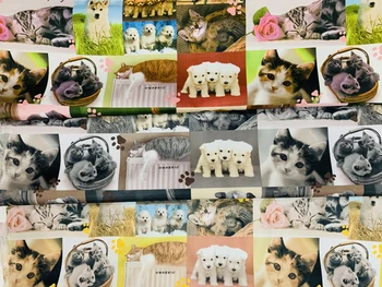 Cute Kitty Cat Puppy Pet Dog Patchwork PVC Acrylic Polyester Composite Waterproof Oxford Fabric Cloth DIY Tablecloth 145cm*91cm
Cute Kitty Cat Puppy Pet Dog Patchwork PVC Acrylic Polyester Composite Waterproof Oxford Fabric Cloth DIY Tablecloth 145cm*91cm
