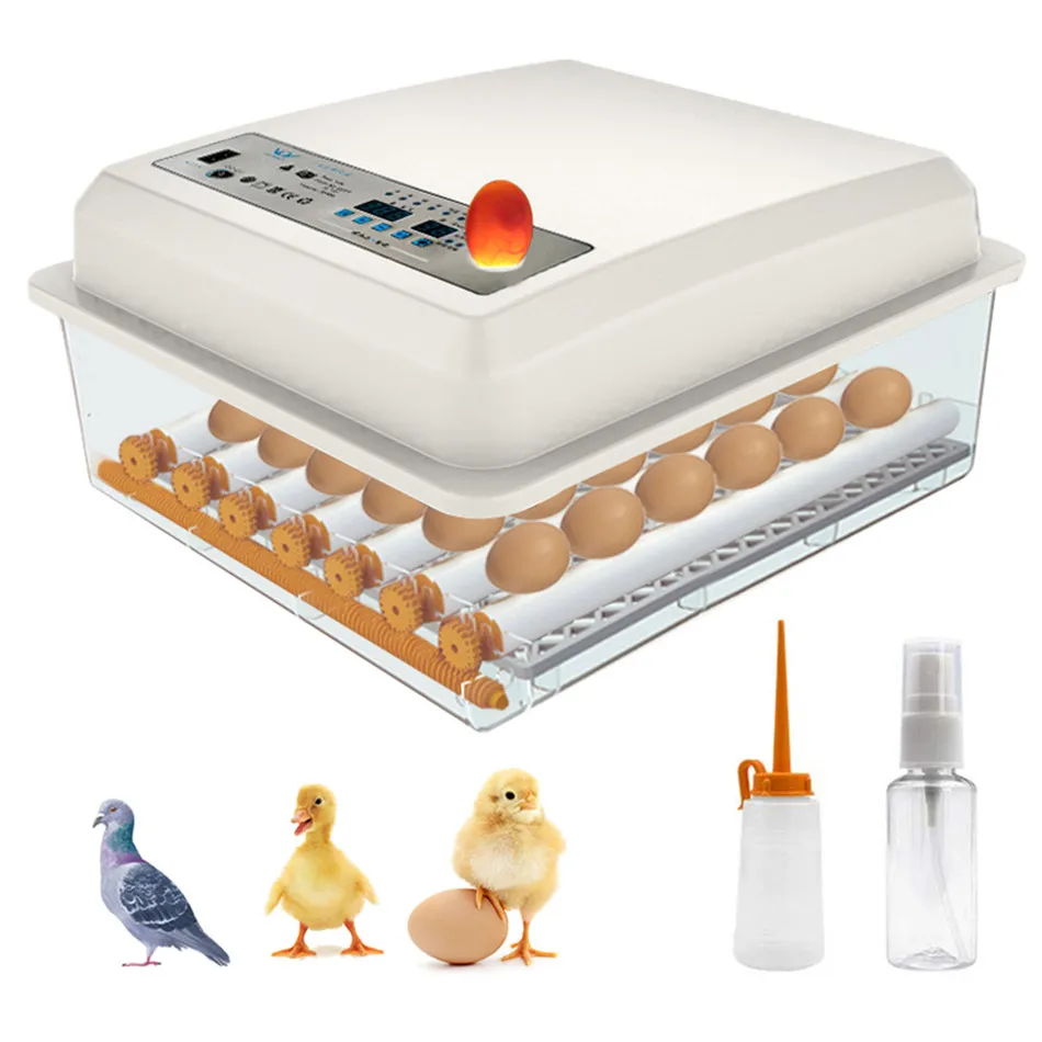SEAAN Eggs BIncubator 36 Eggs Digita Mini Automatie Incubatores Incubators for Hatching Eggs with Automatic Turner
SEAAN Eggs BIncubator 36 Eggs Digita Mini Automatie Incubatores Incubators for Hatching Eggs with Automatic Turner