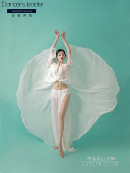 

2020 new belly dance costume fairy practice performance performance costume Tianfan girl two-piece new sexy beginner