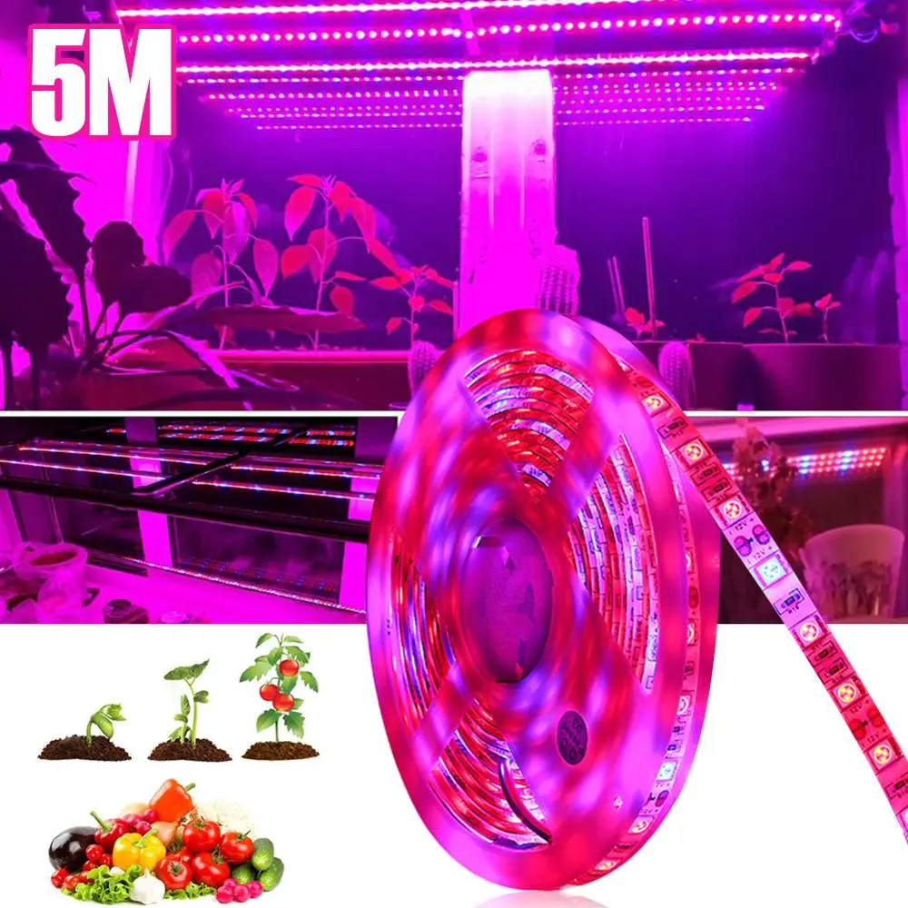 LED Grow Light Strip Full Spectrum Blue and Red Grow Light 60 LEDs/meter for Indoor Plants
LED Grow Light Strip Full Spectrum Blue and Red Grow Light 60 LEDs/meter for Indoor Plants