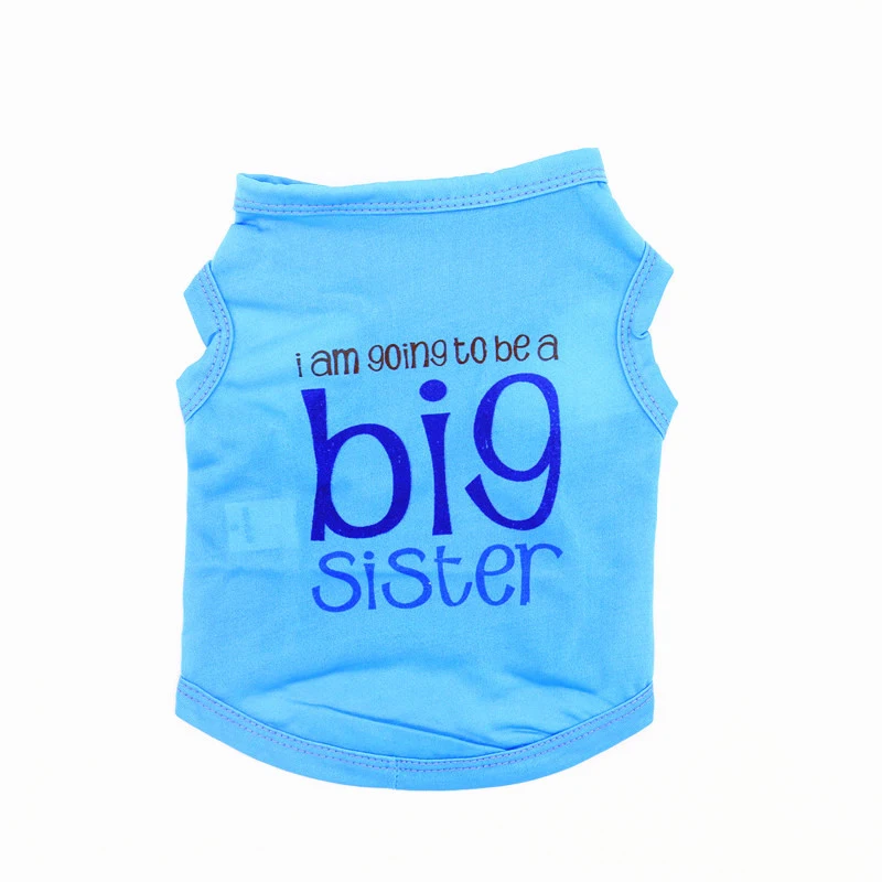 Gonna Be A Big Sister T Shirt Big Little Mean Girl