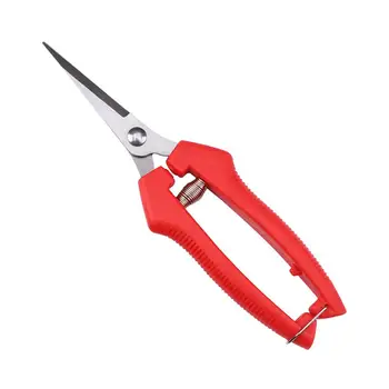 Stainless Steel Garden Scissor Professional Pruning Shears Fruit Tree Picker Scissors Cutting Branch Shears for Garden Home
Stainless Steel Garden Scissor Professional Pruning Shears Fruit Tree Picker Scissors Cutting Branch Shears for Garden Home