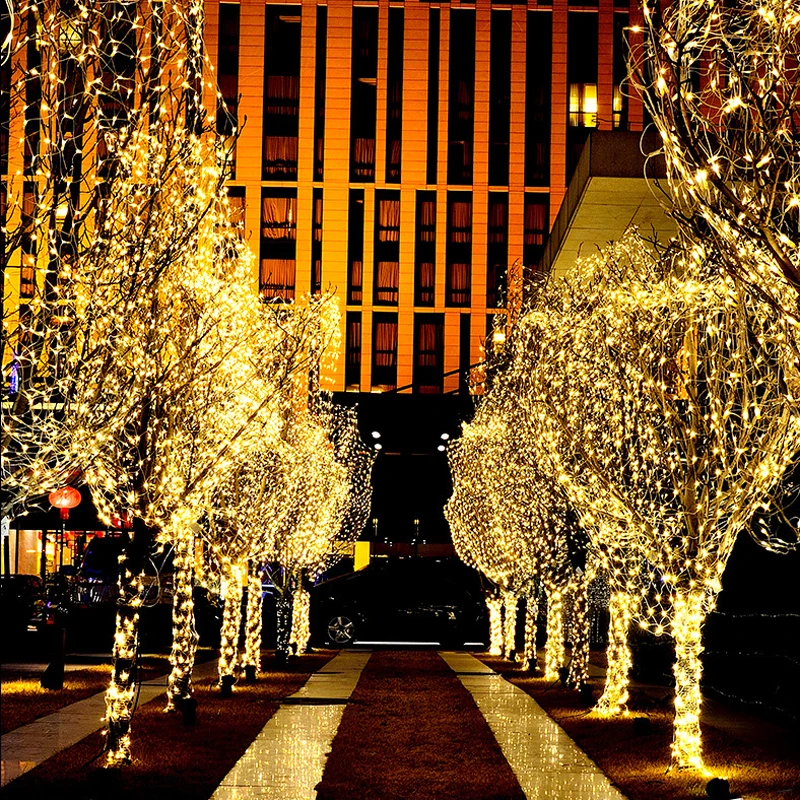 10m 100 led christmas string light Waterproof EU plug (12)
