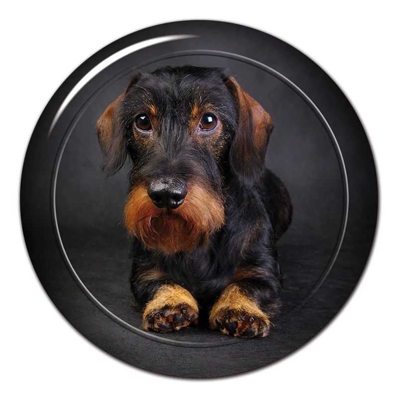 A0659 # различные размеры Съемная наклейка Teckel Breed Dog V6 Автомобильная наклейка Водонепроницаемая на бампер заднее окно ноутбук
A0659 # различные размеры Съемная наклейка Teckel Breed Dog V6 Автомобильная наклейка Водонепроницаемая на бампер заднее окно ноутбук