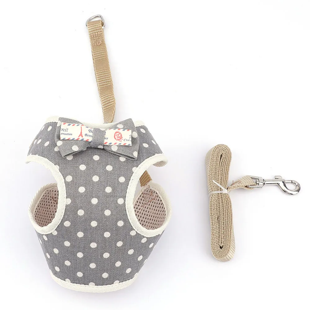 Small dog leash