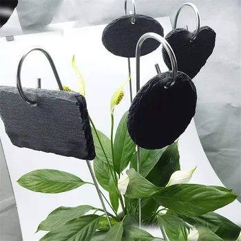 1PC Slate Plant Labels Weather Resistant Plant Lables Greenhouse Signs Garden Hang Tag For Pots Classification Tool
1PC Slate Plant Labels Weather Resistant Plant Lables Greenhouse Signs Garden Hang Tag For Pots Classification Tool