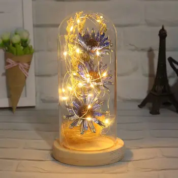 Home Decor Dried Flower LED Light String In Glass Dome On Wooden Base For Valentine's Day Gift Birthday Gifts D1
Home Decor Dried Flower LED Light String In Glass Dome On Wooden Base For Valentine's Day Gift Birthday Gifts D1