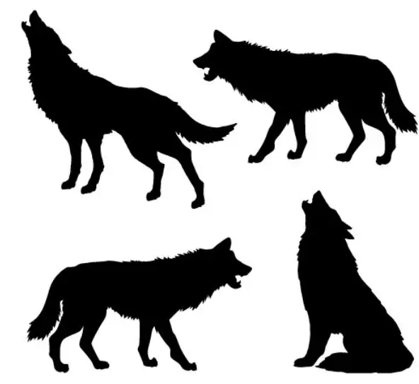 Wolf Transparent Clear Silicone Stamp/Seal for DIY scrapbooking/photo album Decorative clear stamp sheets ST0404
Wolf Transparent Clear Silicone Stamp/Seal for DIY scrapbooking/photo album Decorative clear stamp sheets ST0404