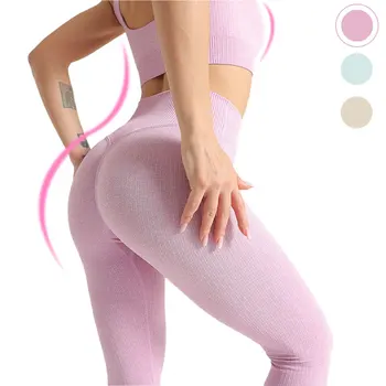 2 Piece Set Women Seamless Yoga Suit Fitness High Stretchy Workout Sports Suits Athletic Leggings Workout Bra Set Gym Yoga Suits
2 Piece Set Women Seamless Yoga Suit Fitness High Stretchy Workout Sports Suits Athletic Leggings Workout Bra Set Gym Yoga Suits