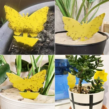 Home Garden Catching Aphid Insects Sticky Board 20pcs/set Sticky Fly Traps 3 Style Strong Fruit Flies Bugs Traps Pest Control
Home Garden Catching Aphid Insects Sticky Board 20pcs/set Sticky Fly Traps 3 Style Strong Fruit Flies Bugs Traps Pest Control