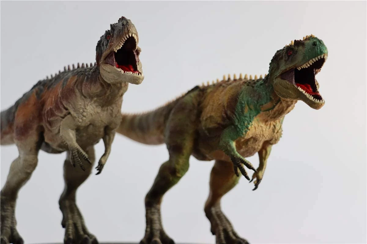 IN STOCK Giganotosaurus Figure Realistic Carcharodontosauridae Dinosaur PVC Model Unisex Adults Kid Gift Toy Collector Decor 
IN STOCK Giganotosaurus Figure Realistic Carcharodontosauridae Dinosaur PVC Model Unisex Adults Kid Gift Toy Collector Decor
