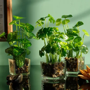 Artificial Plants with Simulation Bonsai Glass Pot 4-leaf Clover Window Decoration Household Table MU8669
Artificial Plants with Simulation Bonsai Glass Pot 4-leaf Clover Window Decoration Household Table MU8669