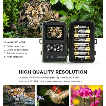 1080P Hunting Cameras IP66 Waterproof Night Vision for Animal Photo Wildlife Camera 940Nm 120 Degree Viewing Camera Traps
1080P Hunting Cameras IP66 Waterproof Night Vision for Animal Photo Wildlife Camera 940Nm 120 Degree Viewing Camera Traps