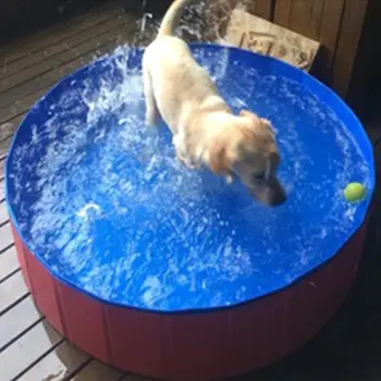 Dog Bathtub Folding Bucket Pet Swimming Pool SPA Bath Large Dog Bathing Cat Supplies
Dog Bathtub Folding Bucket Pet Swimming Pool SPA Bath Large Dog Bathing Cat Supplies