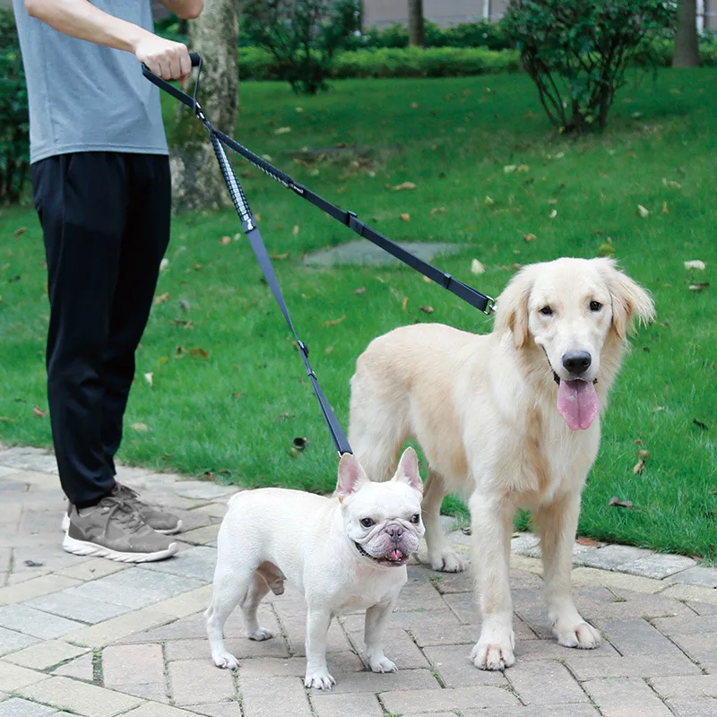 One Drag Two Elastic Dog Rope Dog Leashes Dog Leash Dog Harness Pet Supplies Dog Stuff Dog Jogging All Seasons
One Drag Two Elastic Dog Rope Dog Leashes Dog Leash Dog Harness Pet Supplies Dog Stuff Dog Jogging All Seasons