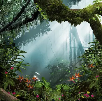 jungle theme magic forest tree flower backgrounds Vinyl cloth High quality Computer print wedding backdrop
jungle theme magic forest tree flower backgrounds Vinyl cloth High quality Computer print wedding backdrop