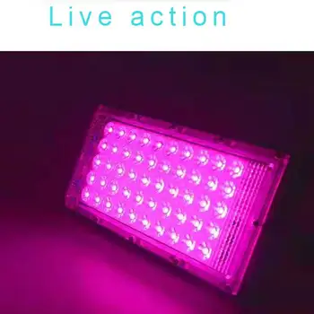 110V 220V Growing Lamp Waterproof 50W Equivalent LED Grow Light Panel Seedling Solar Full With Lanyard Vegetation
110V 220V Growing Lamp Waterproof 50W Equivalent LED Grow Light Panel Seedling Solar Full With Lanyard Vegetation