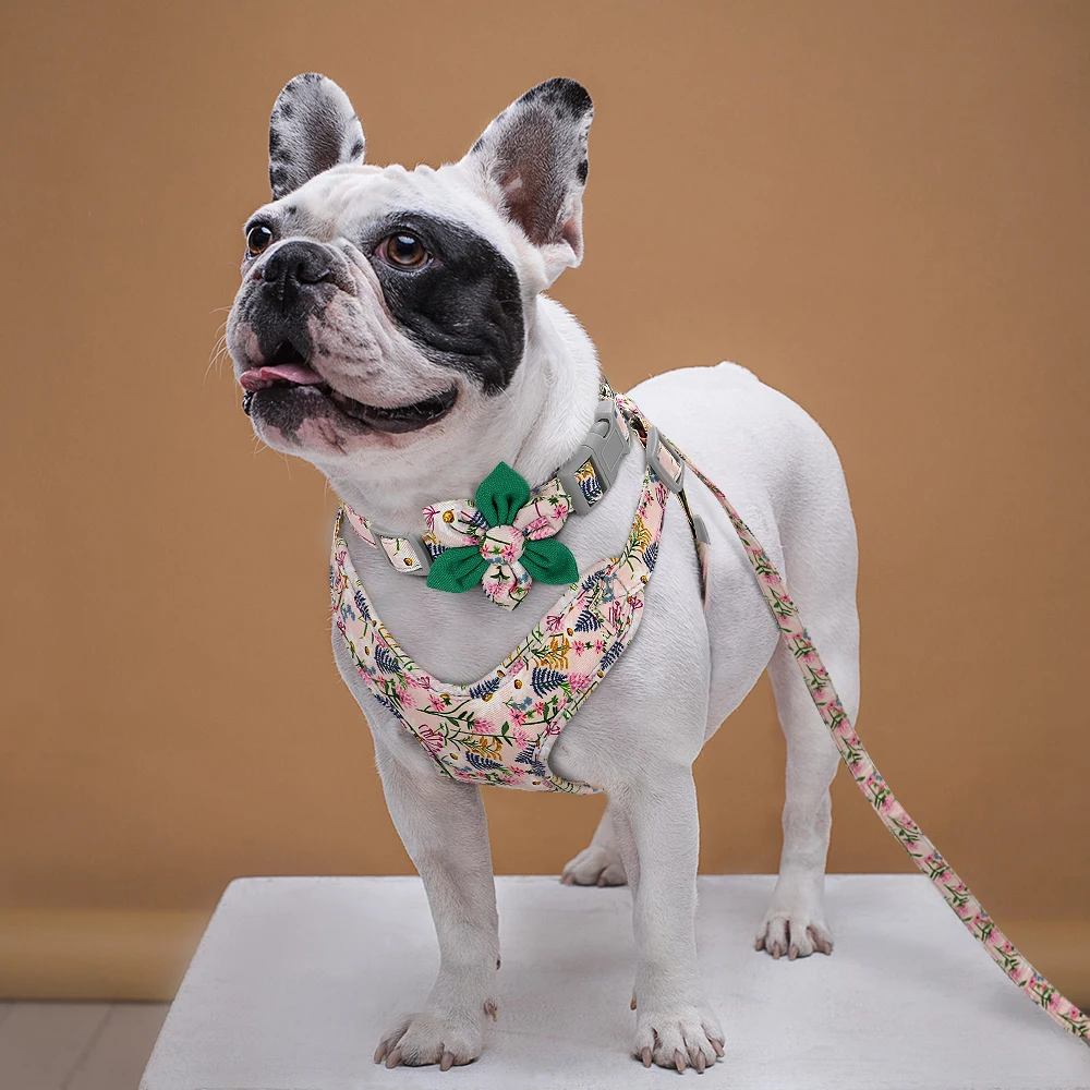 floral harness for bulldogs