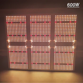 Dimmable quantum tech board 600W Samsung LM301B LED grow lights Full spectrum 3000K 5000K Mix 660nm IR For Indoor plants growth
Dimmable quantum tech board 600W Samsung LM301B LED grow lights Full spectrum 3000K 5000K Mix 660nm IR For Indoor plants growth