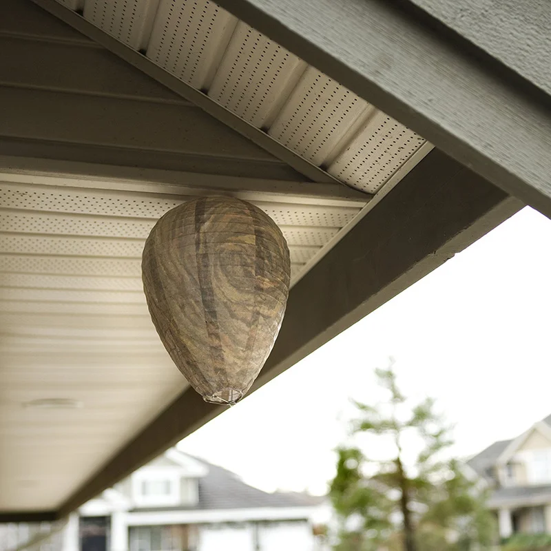 Safe Non-Toxic Hanging Wasp Deterrent for Wasps Hornets Hanging Wasp Bee Trap Fly Insect Simulated Wasp Nest 2019NEW
Safe Non-Toxic Hanging Wasp Deterrent for Wasps Hornets Hanging Wasp Bee Trap Fly Insect Simulated Wasp Nest 2019NEW