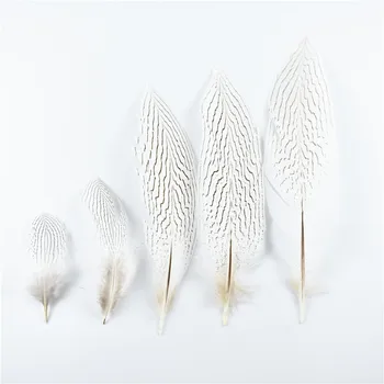 10-30CM 4-12 Inch Natural Silver Pheasant Tail Feathers for Crafts DIY Wedding Decorations White Chicken Pheasant Feather Plumes
10-30CM 4-12 Inch Natural Silver Pheasant Tail Feathers for Crafts DIY Wedding Decorations White Chicken Pheasant Feather Plumes