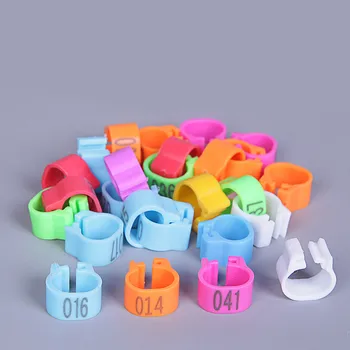 High quality pigeon foot ring bayonet digital ring pigeon bird supplies opening identification ring mark ring 10 colors
High quality pigeon foot ring bayonet digital ring pigeon bird supplies opening identification ring mark ring 10 colors
