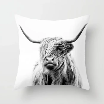 Customized portrait of a highland cow Pattern Unique Fashion Square Zippered Pillowcase Nice Pillow Cover Fans Gift Pillow Sham
Customized portrait of a highland cow Pattern Unique Fashion Square Zippered Pillowcase Nice Pillow Cover Fans Gift Pillow Sham