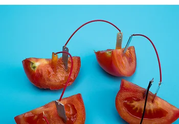self made fruit battery power generation experiment zinc copper chip potato technology small invention instrument physics
self made fruit battery power generation experiment zinc copper chip potato technology small invention instrument physics