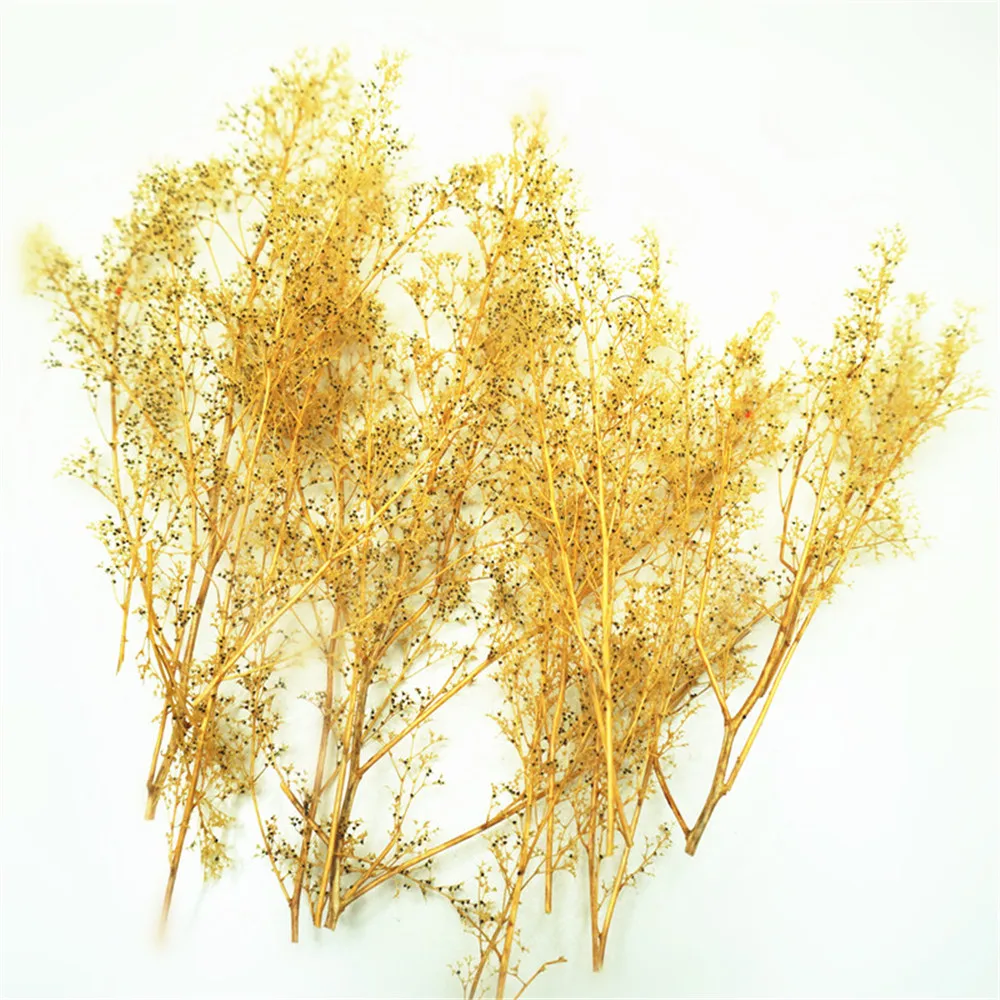 model grass05
