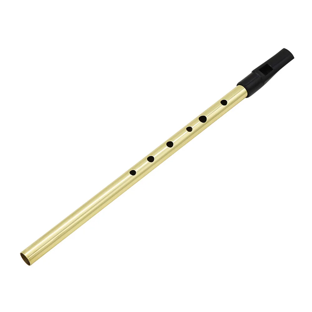 Gift Beginner Instrument Portable Durable Safe 6 Hole Popular Whistle Flute D Tune Practical Kids Irish Music Tin Mouth
Gift Beginner Instrument Portable Durable Safe 6 Hole Popular Whistle Flute D Tune Practical Kids Irish Music Tin Mouth
