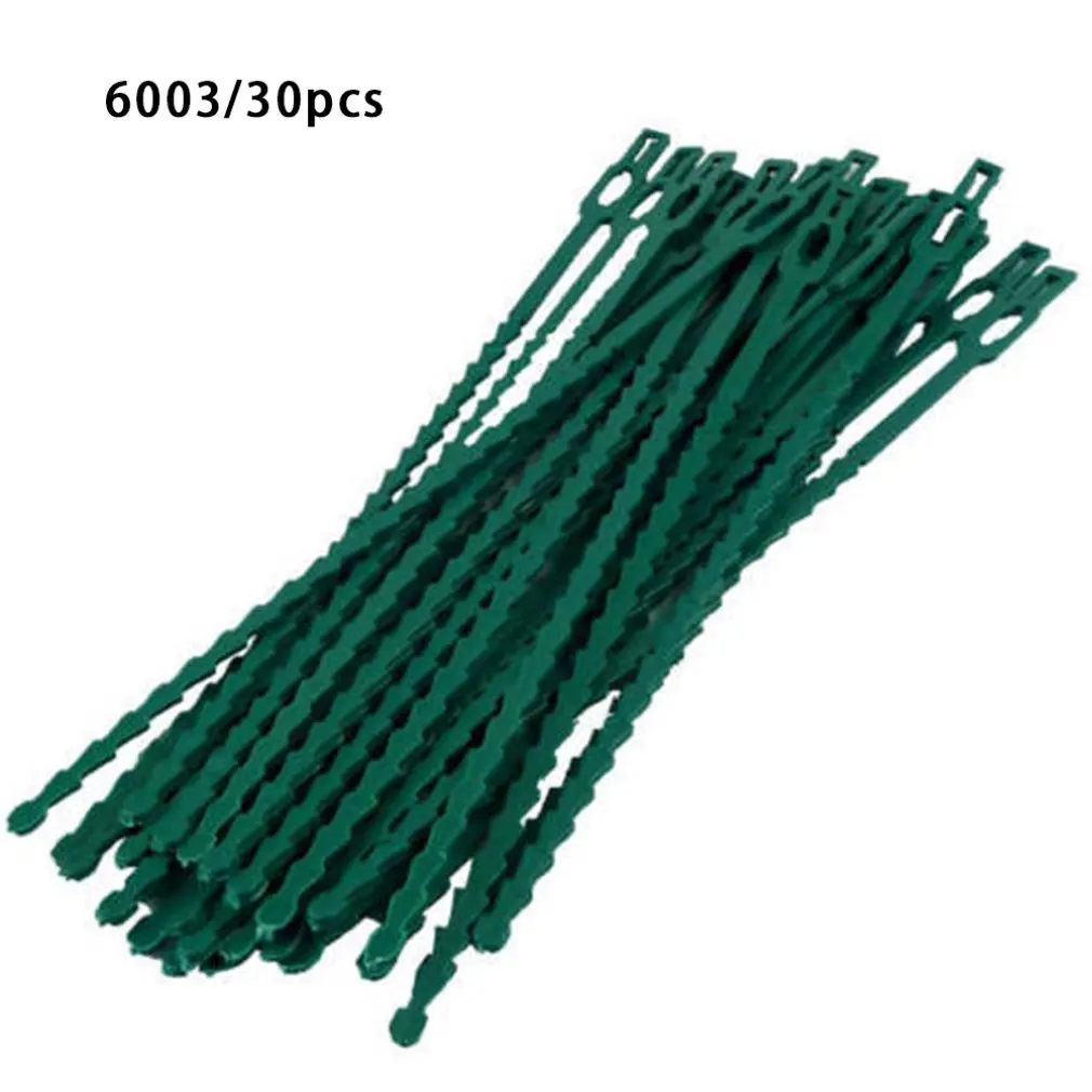 Banding Garden Strapping Cable Garden Tool Multi-purpose fishbone dark green garden lashing belt DIY garden line
Banding Garden Strapping Cable Garden Tool Multi-purpose fishbone dark green garden lashing belt DIY garden line