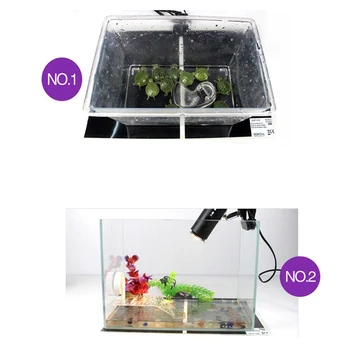 20W Heating Warm Pad Adjustable Temperature Controller Incubator Mat Tools Terrarium Reptiles Heat Mat 5-28W Climbing Pet
20W Heating Warm Pad Adjustable Temperature Controller Incubator Mat Tools Terrarium Reptiles Heat Mat 5-28W Climbing Pet
