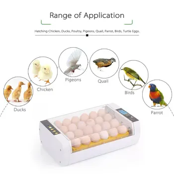 24 Eggs Incubator Temperature Control Digital Automatic Chicken Chick Duck Hatcher Farm Animal Supplies
24 Eggs Incubator Temperature Control Digital Automatic Chicken Chick Duck Hatcher Farm Animal Supplies