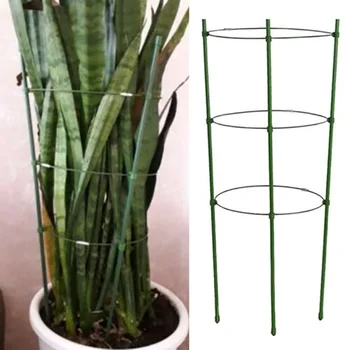 Plant Climbing Frame Potted Plant Supporting Frame Garland And Vegetable Protective Bracket
Plant Climbing Frame Potted Plant Supporting Frame Garland And Vegetable Protective Bracket