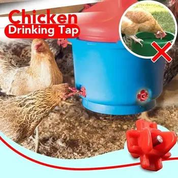 10pcs Nipples Drinker Waterer Horizontal Side Mount Clean Automatic Poultry Chicken Quail Feeder Water System Feeding
10pcs Nipples Drinker Waterer Horizontal Side Mount Clean Automatic Poultry Chicken Quail Feeder Water System Feeding