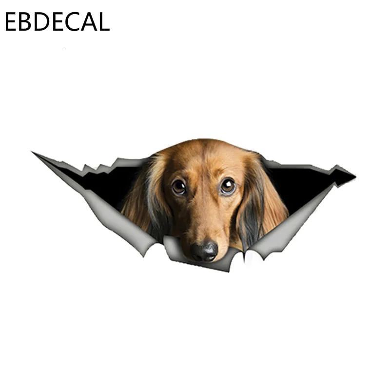 EBdecal Red Long-haired Dachshund For Auto Car/Bumper/Window/Wall Decal Sticker Decals DIY Decor CT6220
EBdecal Red Long-haired Dachshund For Auto Car/Bumper/Window/Wall Decal Sticker Decals DIY Decor CT6220