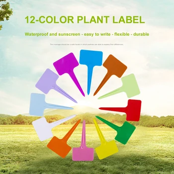 100pcs/Lot Plastic Plant Labels Mark T-Type Plant Flower Tag Garden Ornaments Gardening Label Nursery Flower Tag Reusable
100pcs/Lot Plastic Plant Labels Mark T-Type Plant Flower Tag Garden Ornaments Gardening Label Nursery Flower Tag Reusable