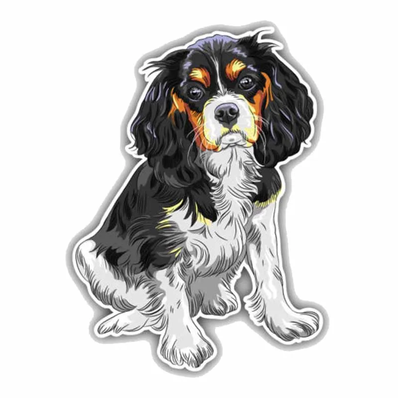 Sitting Cavalier King Charles Spaniel Breed Dog Car Sticker Automobiles Motorcycles Exterior Accessories Vinyl Decals,15cm*11cm
Sitting Cavalier King Charles Spaniel Breed Dog Car Sticker Automobiles Motorcycles Exterior Accessories Vinyl Decals,15cm*11cm